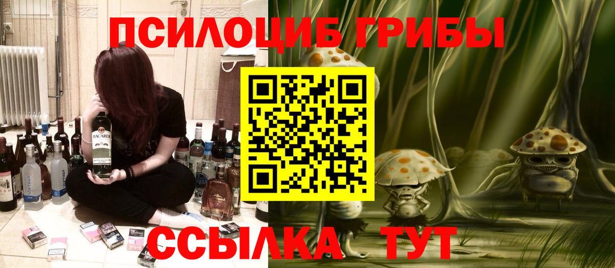 Таганрог  Галлюциногенные грибы MAGIC MUSHROOMS  Вход с VPN  Псилоцибиновые грибы GOLDEN TEACHER 