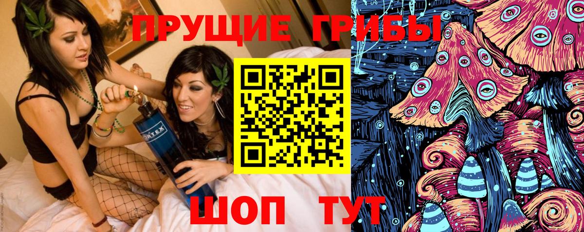 Псилоцибиновые грибы Psilocybine cubensis Таганрог
